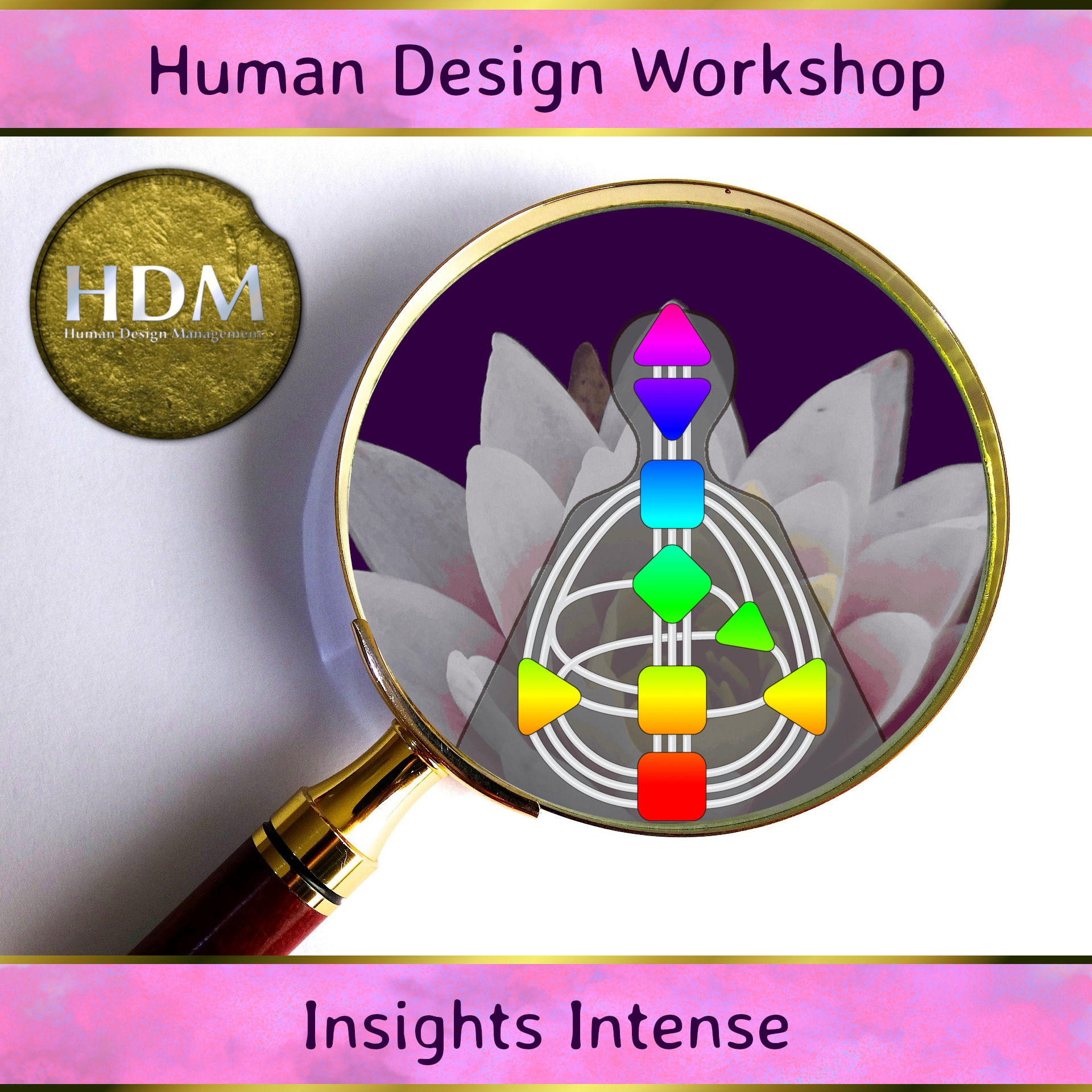 Human Design Workshop Insights Intense
