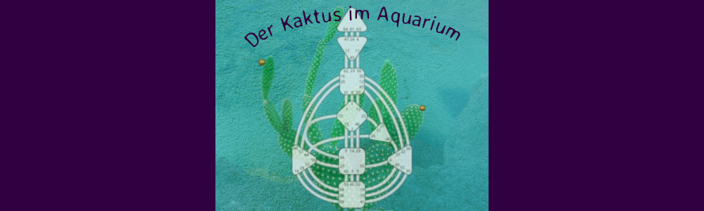 Human Design hilft nicht jedem – oder: der Kaktus im Aquarium 5 (11)