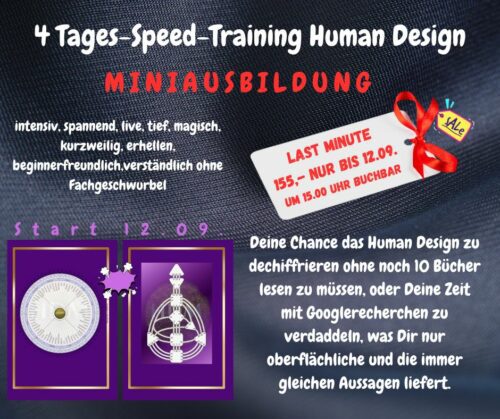 4-Tages-Speed-Training-Human-Design last minute