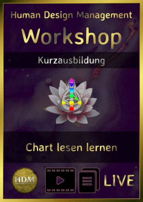 Human Design Workshop Chart lesen lernen