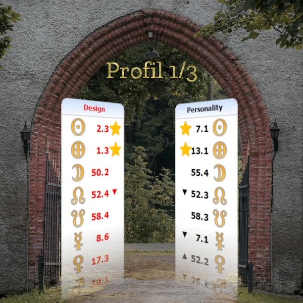 Profil-Linie-1-Beispiel Profil-Linie-1-Beispiel
