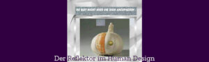 Der Reflektor im Human Design - HDM Der Reflektor im Human Design - HDM