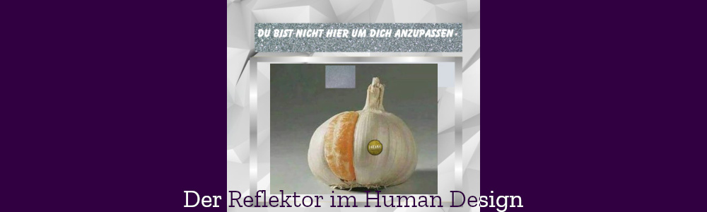 Der Reflektor im Human Design - HDM