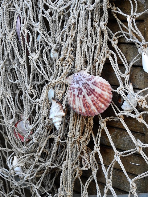 im Netz der Erwartungen im Netz der Erwartungen