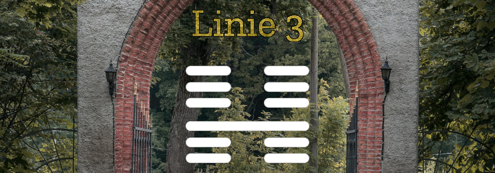 Human Design Linie 3