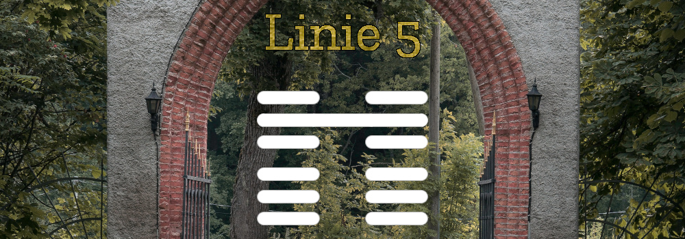 Human Design Linie 5