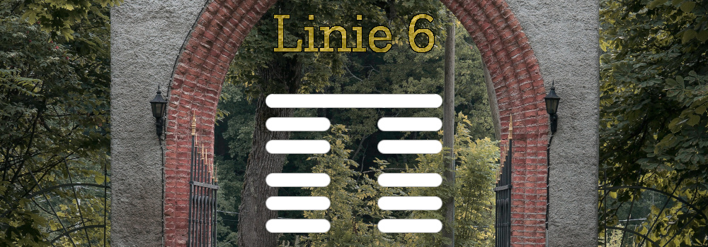 Human Design Linie 6
